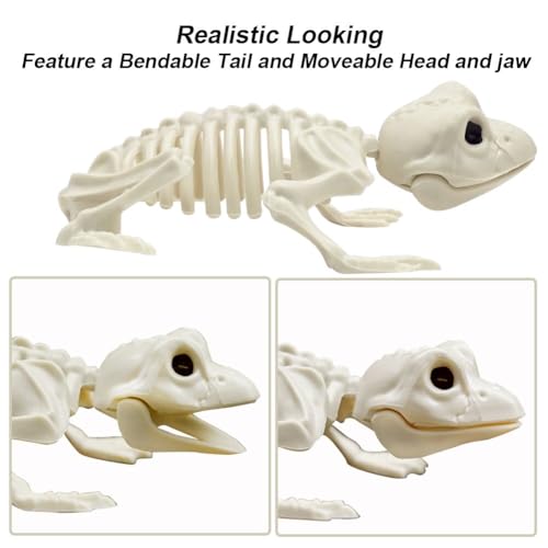 5.4ft/165cm Life Size Skeleton with Movable Joints Z391638