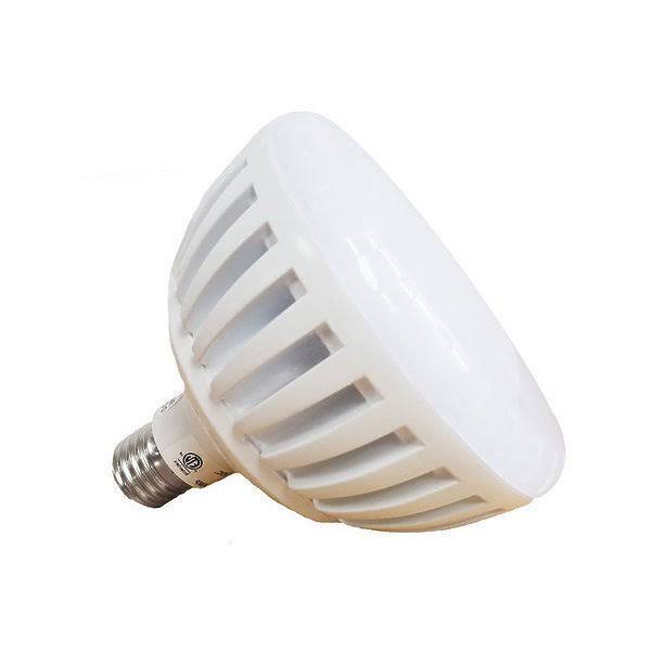 21W White LED Bulb W821