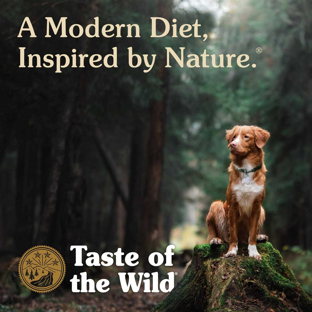 Smoked Salmon Dog Food P630