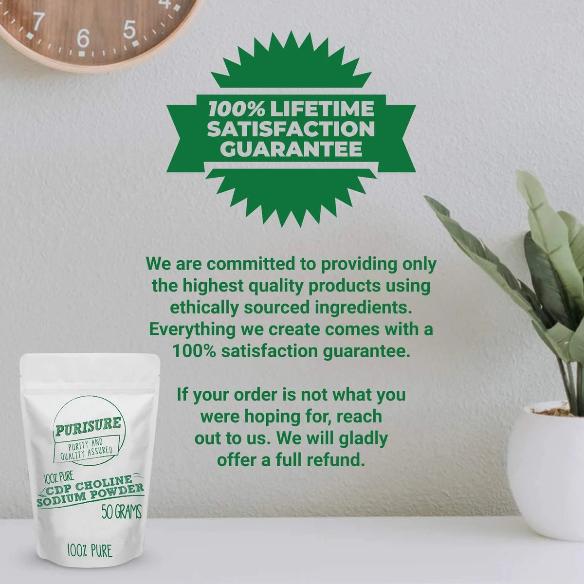 CDP Choline Powder 50g Brain Supplement W781942