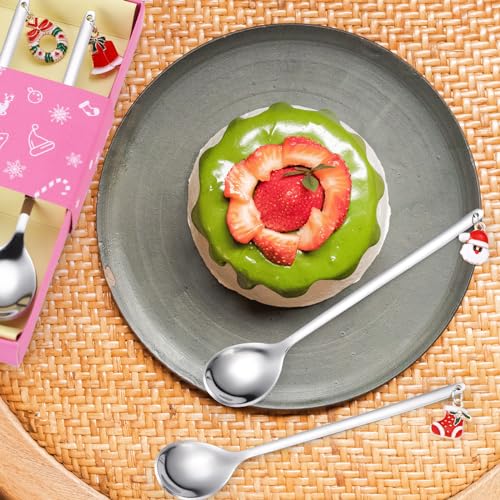 Silver Stainless Steel Dessert Spoons 6 Pieces E49047
