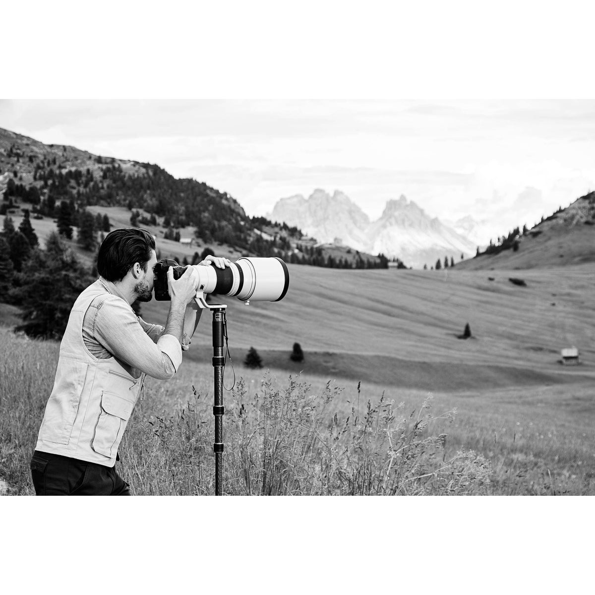 Carbon Fiber 4-Section Monopod O32177