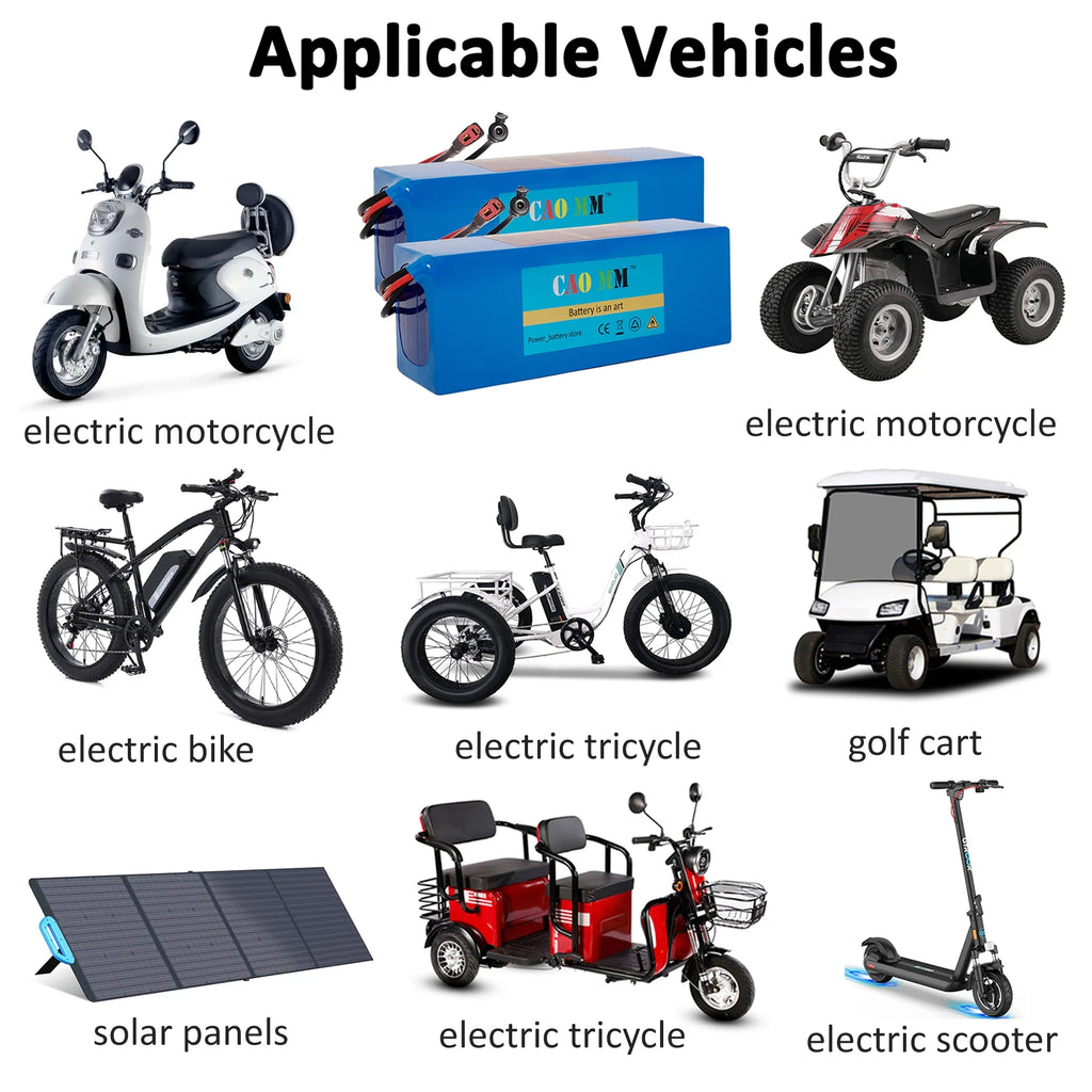 36V 10Ah Lithium Ebike Battery with 2A Charger T408844