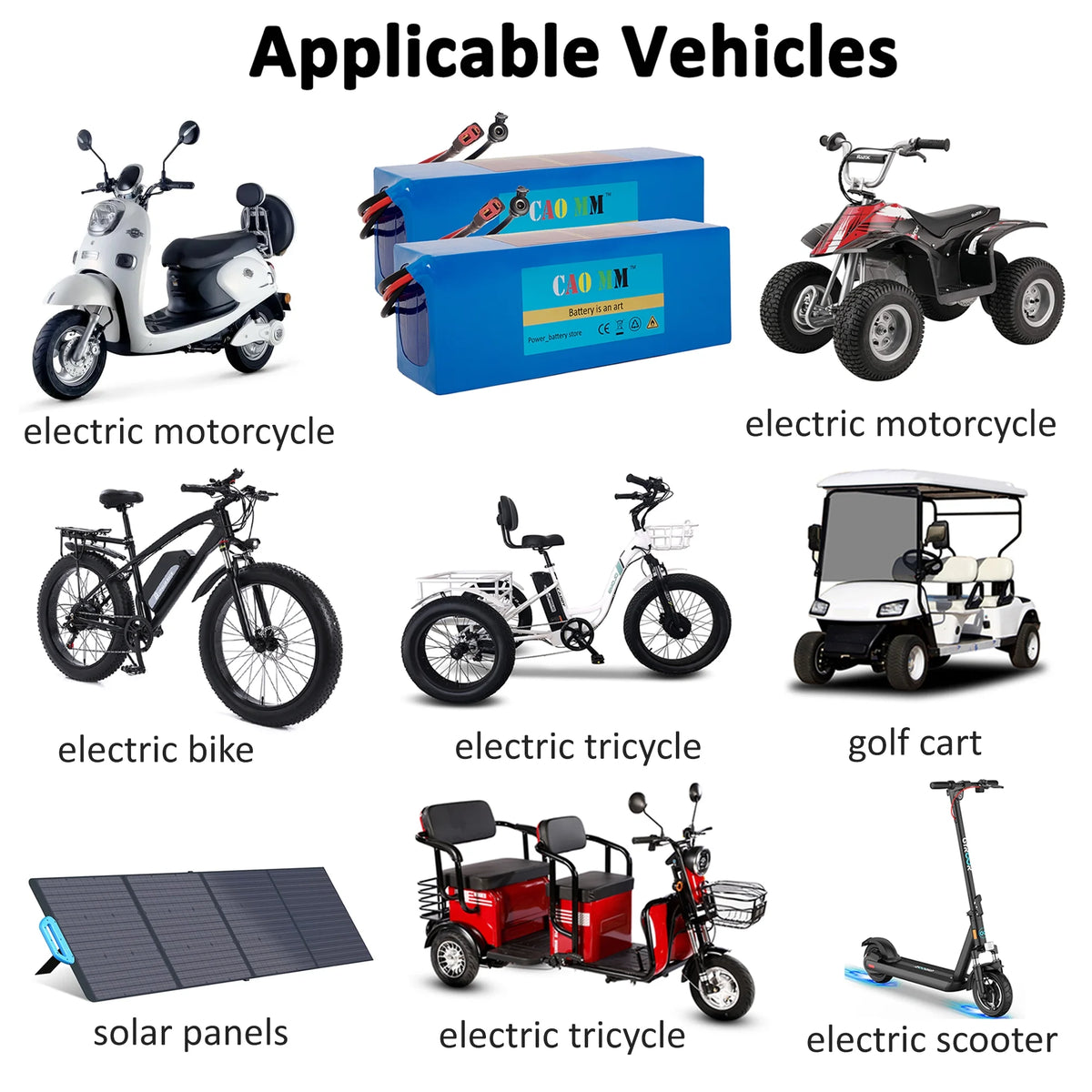 36V 10Ah Lithium Ebike Battery with 2A Charger T408844