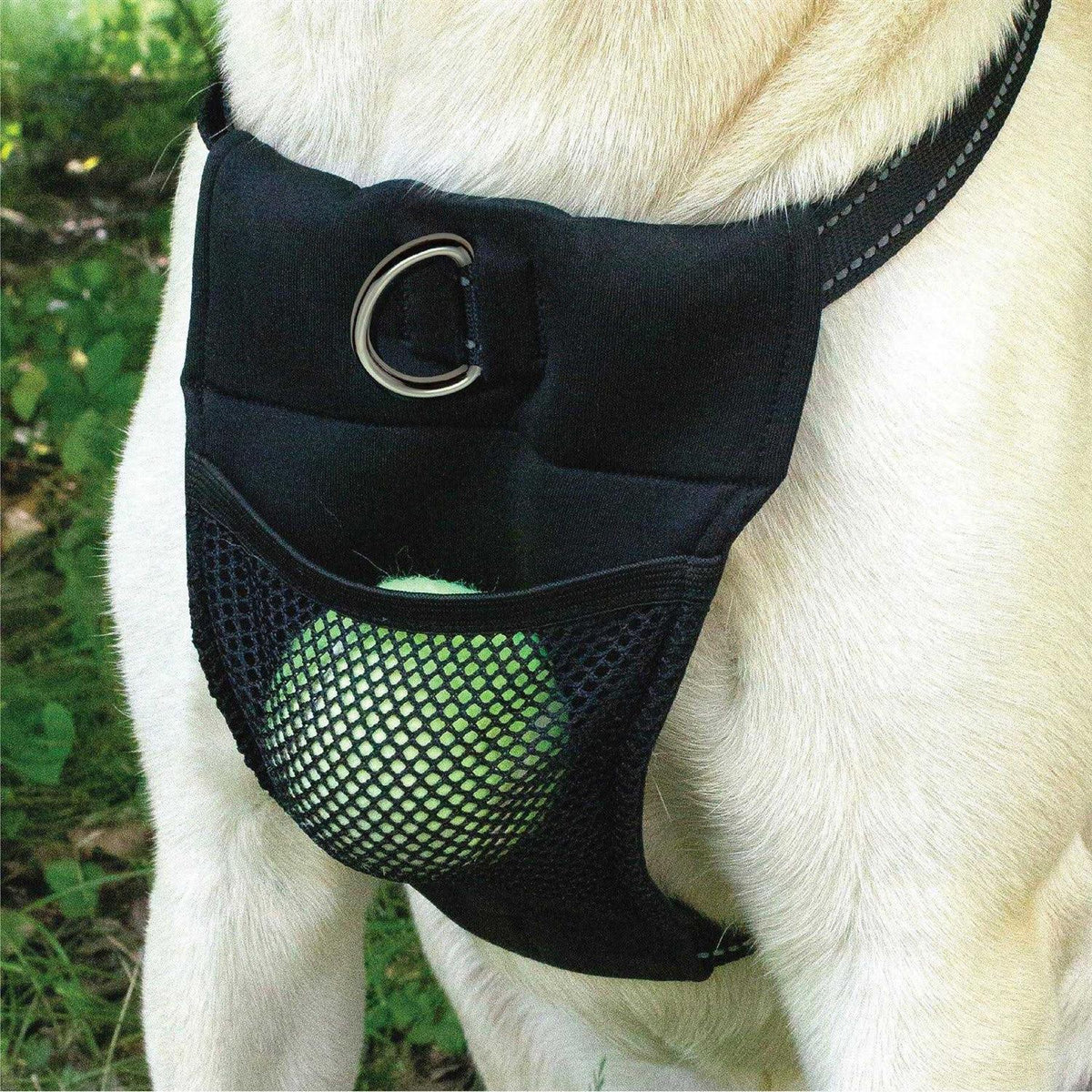 Harness Z563