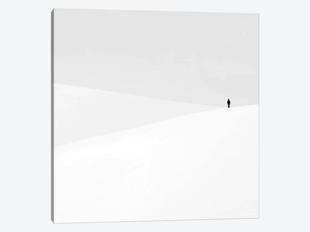 Canvas Art Picture Y536
