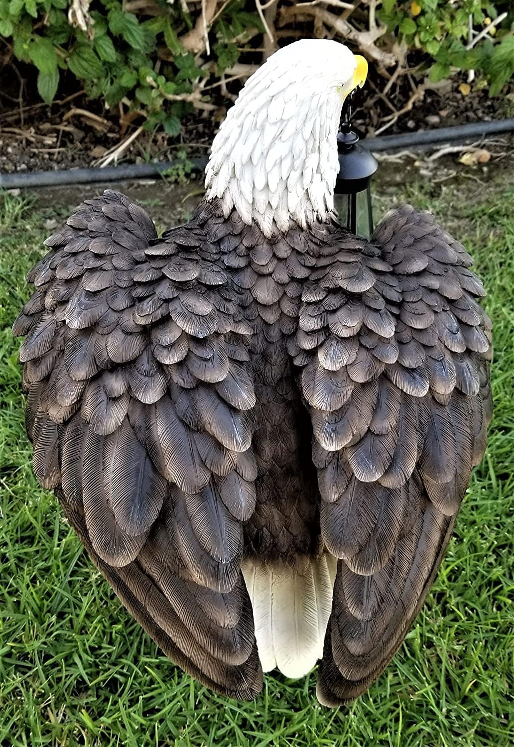 Solar American Bald Eagle Statue with Solar Light E56251
