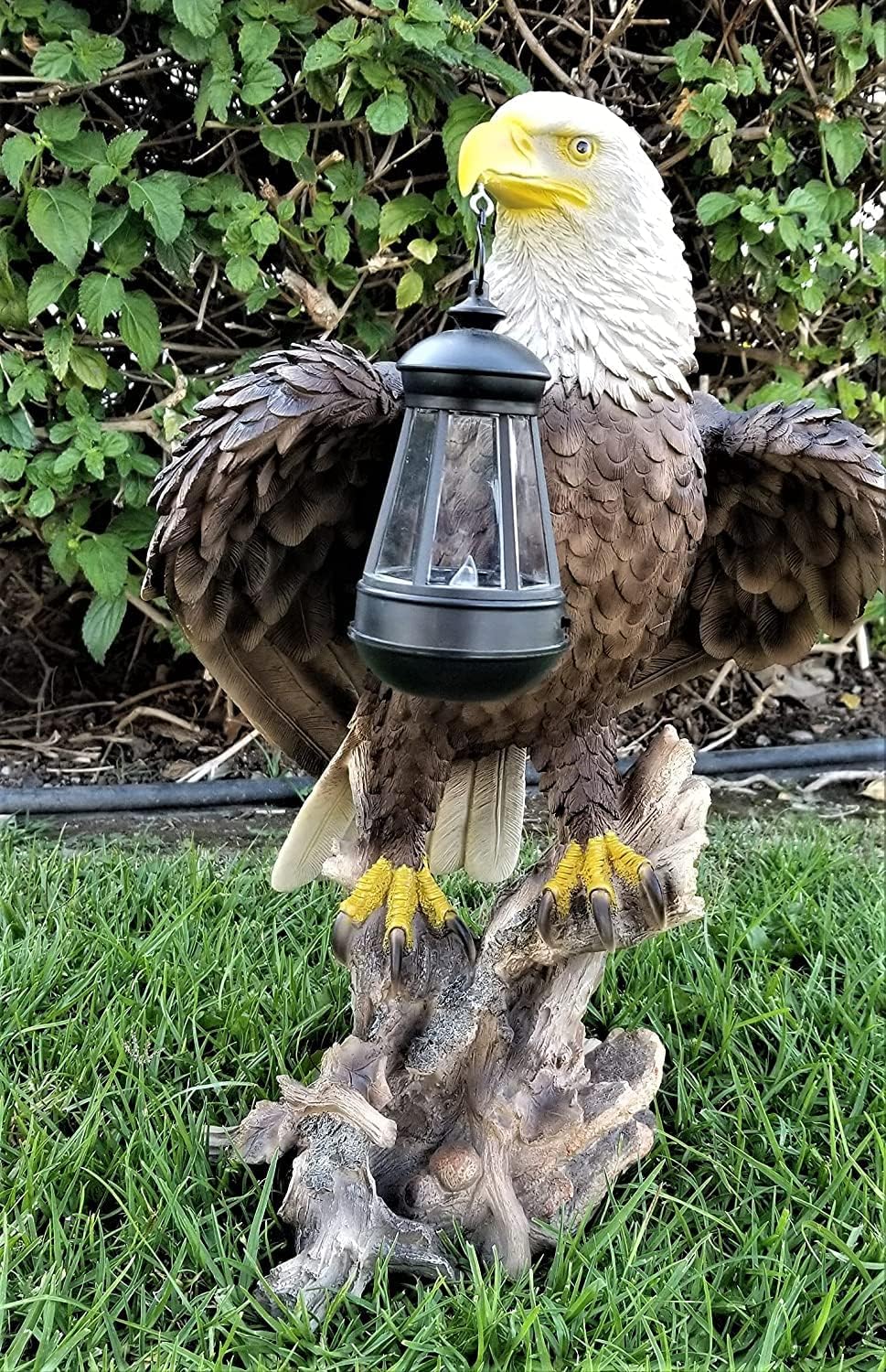 Solar American Bald Eagle Statue with Solar Light E56251
