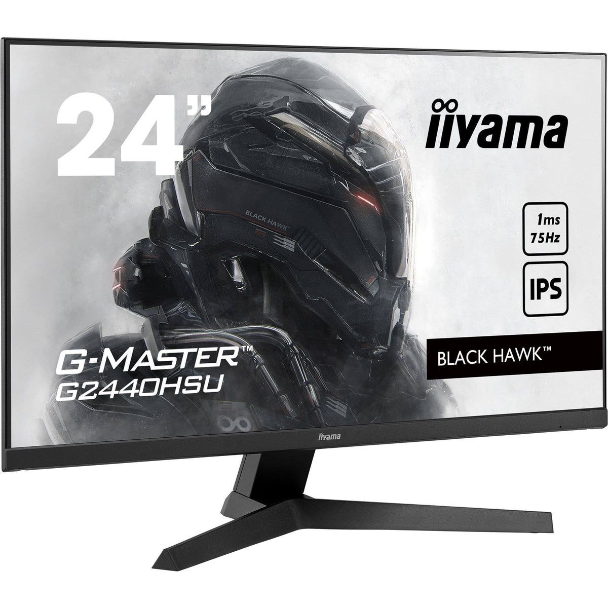 24 Gaming Monitor L307