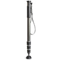 Carbon Fiber 4-Section Monopod O32177