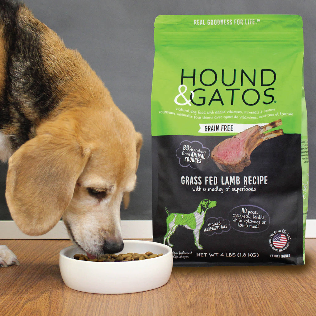 Grain-Free Grass Fed Lamb Recipe Dry Dog Food 24 lb H384