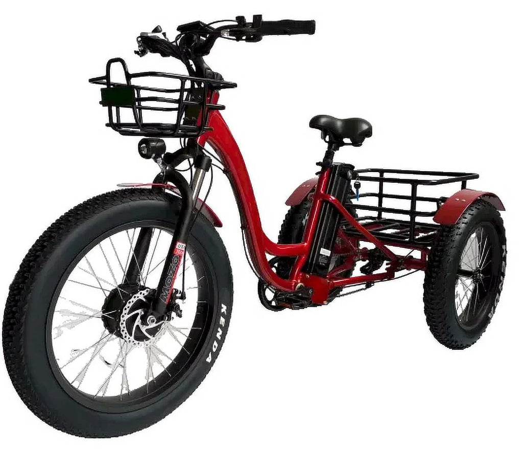 Fat Tire Three-Wheel Electric Trike P9825