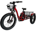 Fat Tire Three-Wheel Electric Trike P9825