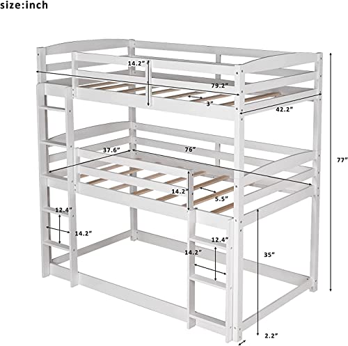 Queen Size Murphy Bed with Desk and 8 Shelves White L186745