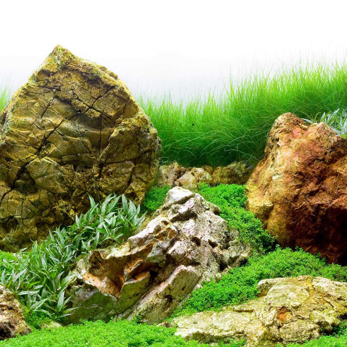 River Rock & Green Aquarium Background Decor W5622