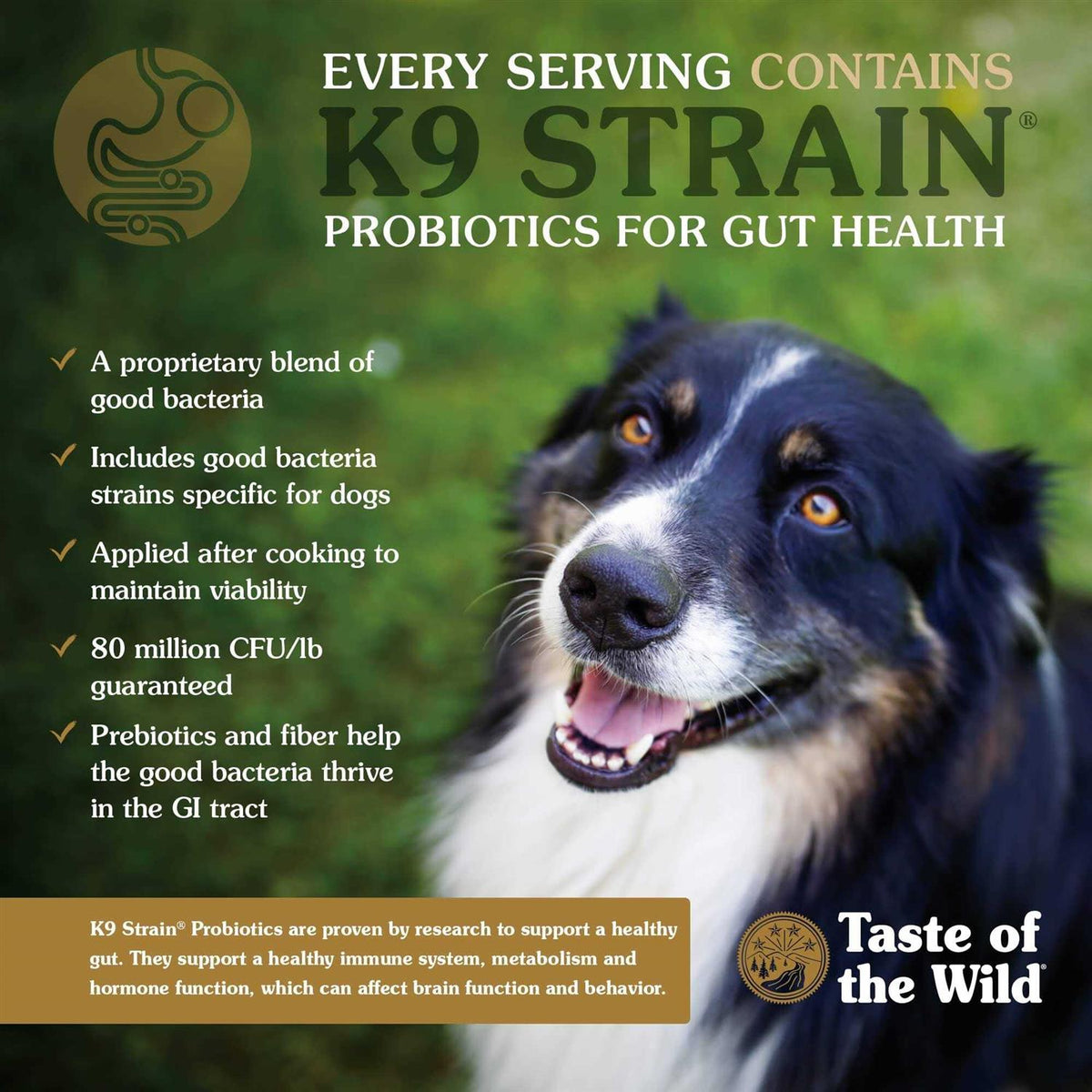 Smoked Salmon Dog Food P630