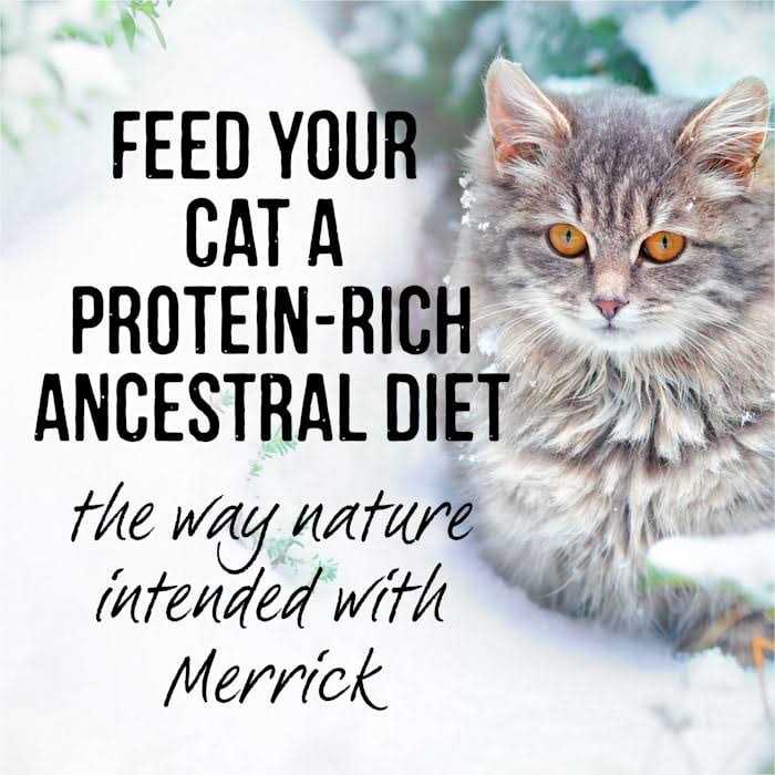 Real Cuts Cat Food M2728
