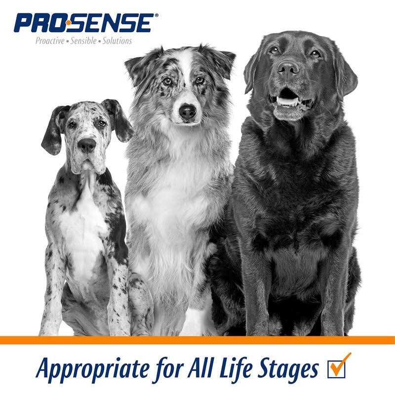 Chewable Vitamin Solutions Pet Supplies L32578