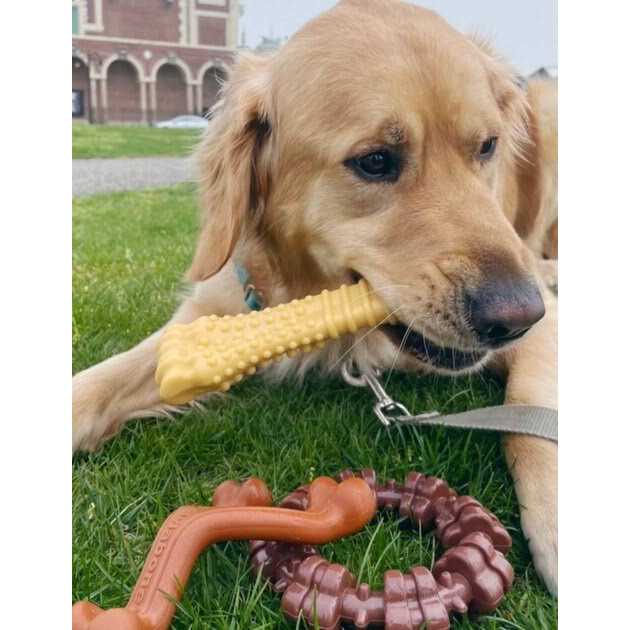 Dog Chew Toy Bundle H65178