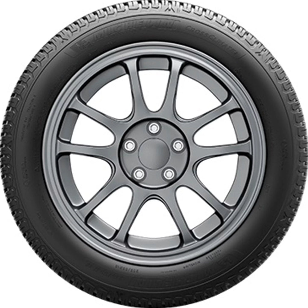 All Weather 245/50R19 105V XL SUV/Crossover Tire T6273