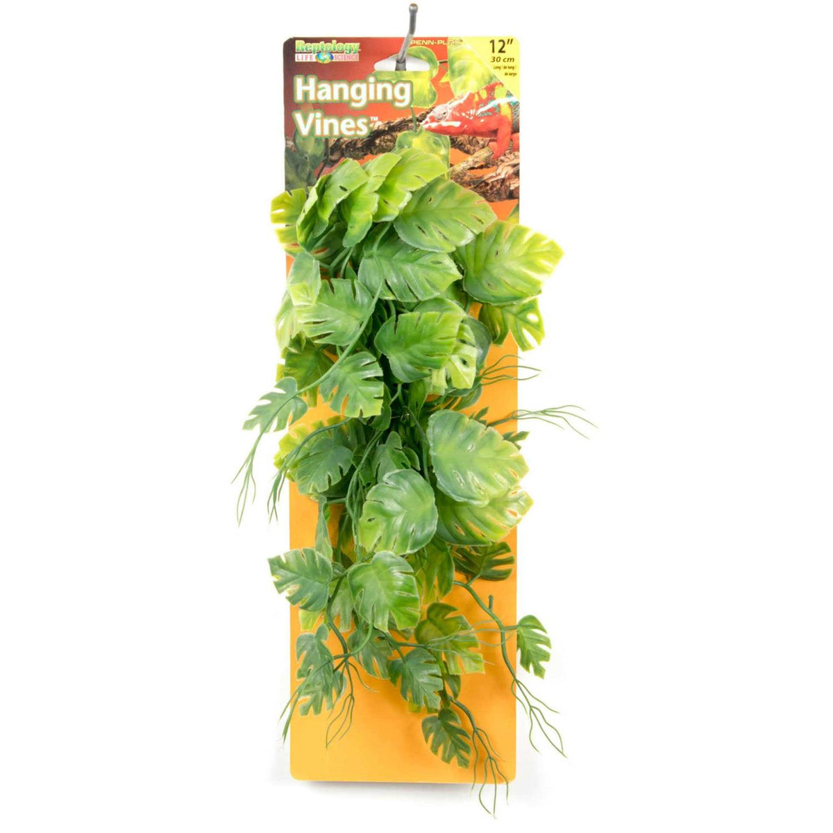 Climber Vine Q420911
