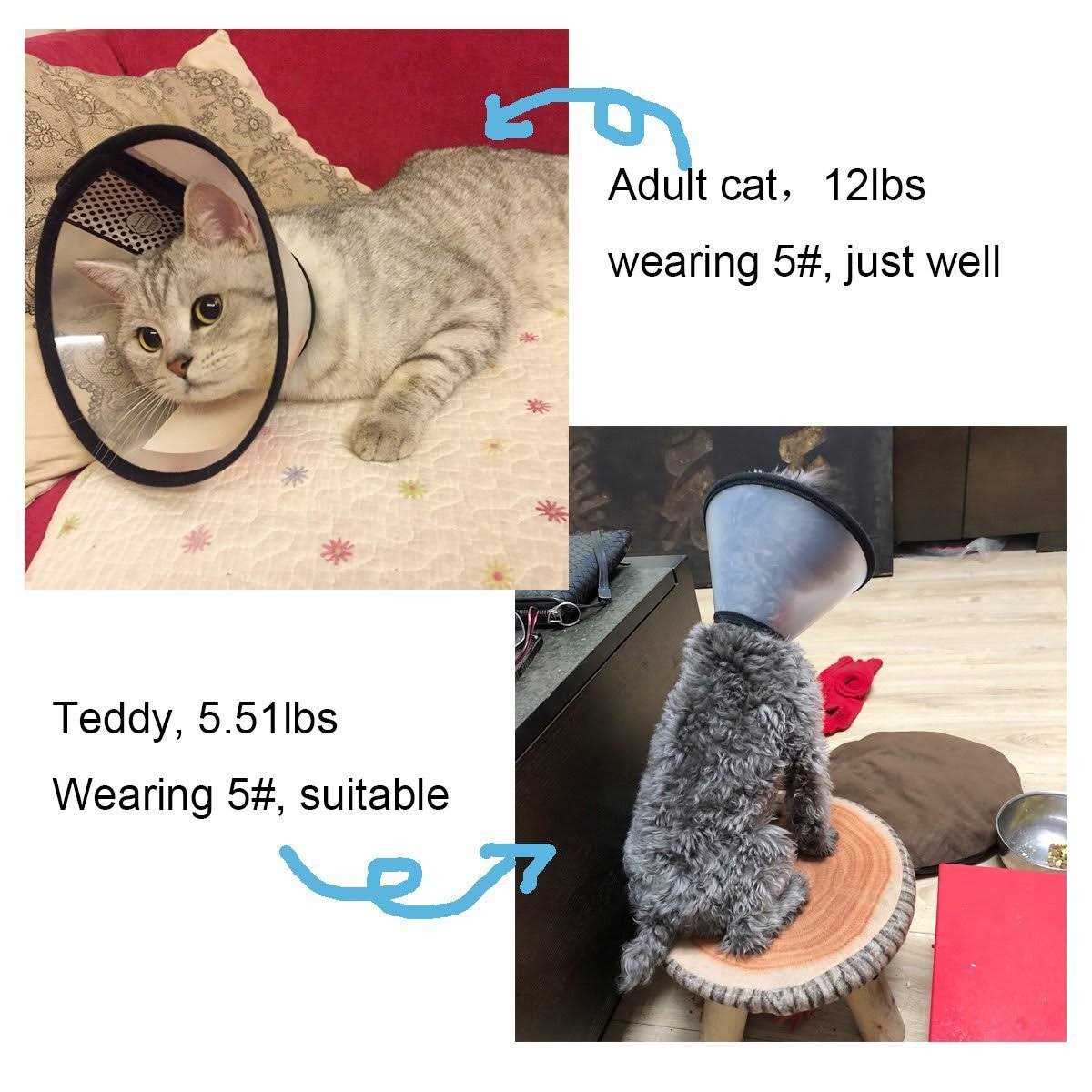 Adjustable Recovery Pet Cone E-Collar C6557