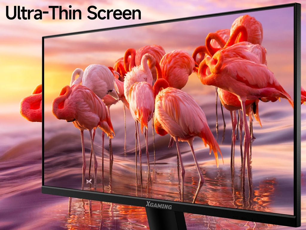 24 Inch 100Hz FHD 1080p IPS HDR Gaming Monitor Z2689