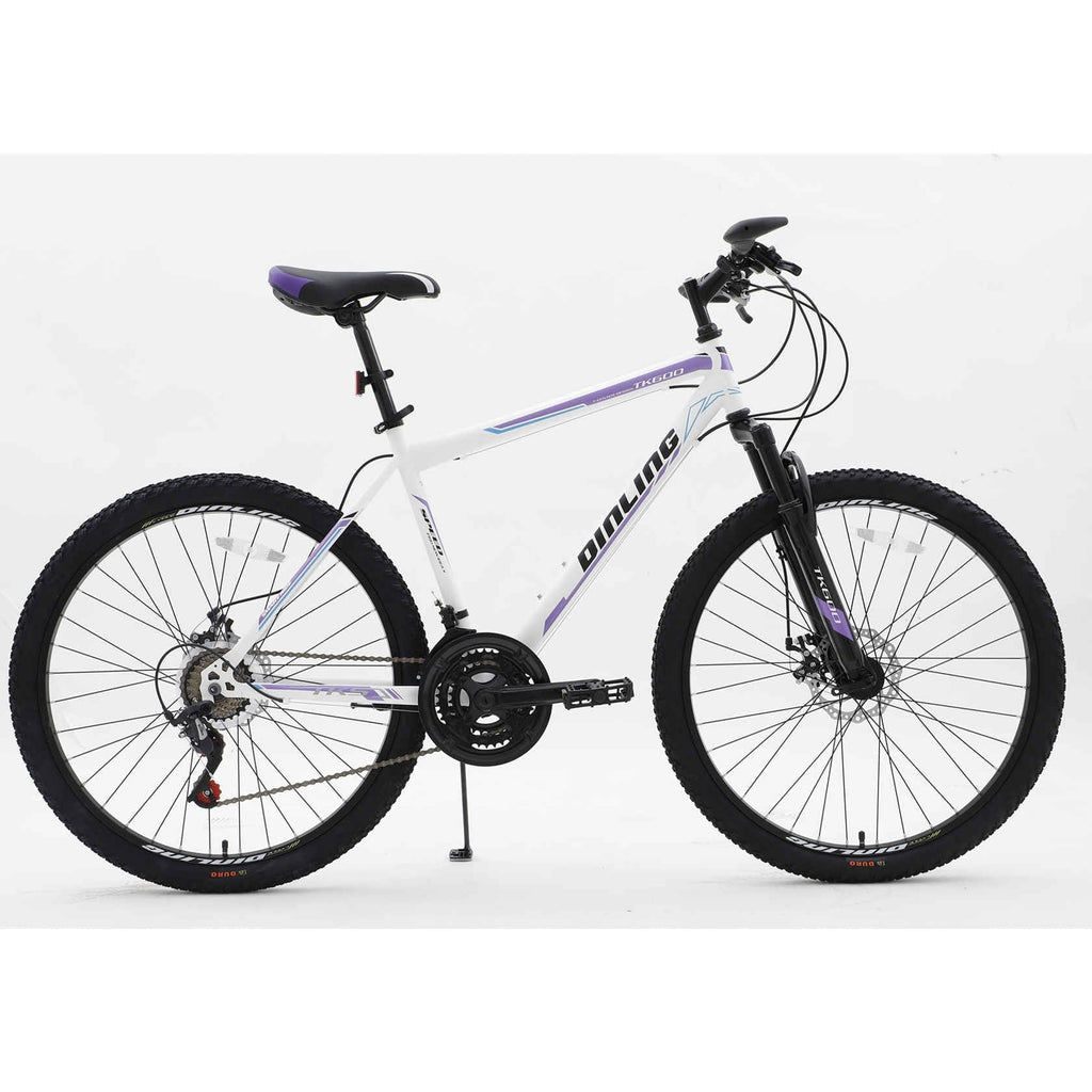 Purple 21-Speed 26 Inch Mountain Bike C358012