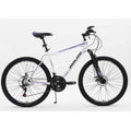 Purple 21-Speed 26 Inch Mountain Bike C358012