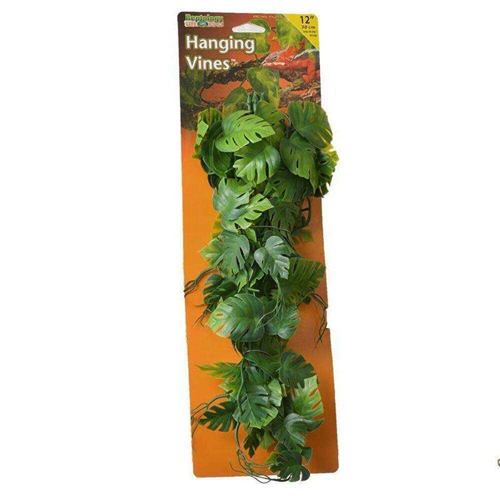 Climber Vine Q420911