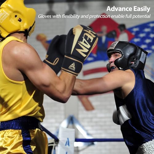 Boxing Training Gloves 10-16oz E240