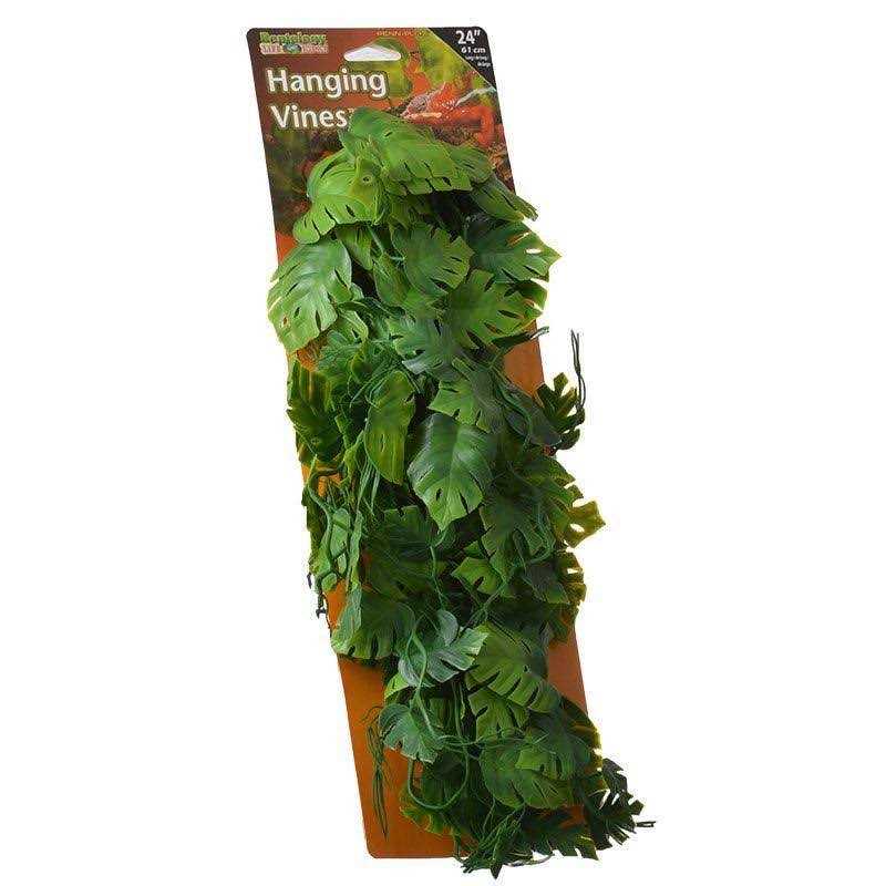 Climber Vine Q420911