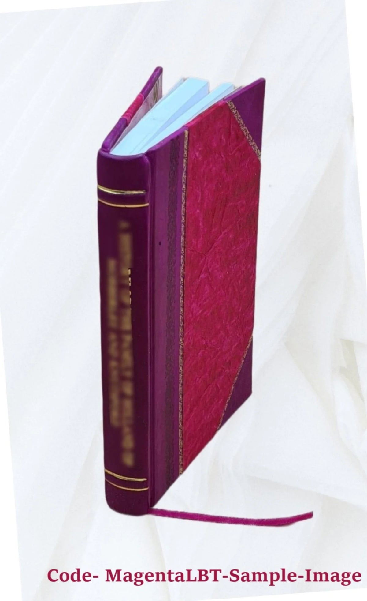 Cartouche Poem with Argot-French Dictionaries Leather Bound X21459