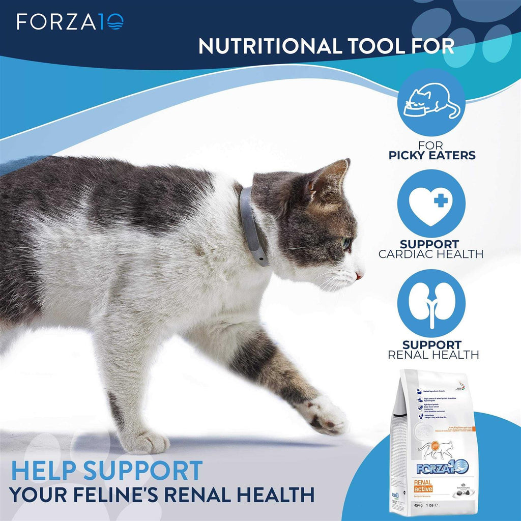 Kidney Support Diet Dry Cat Food X875303