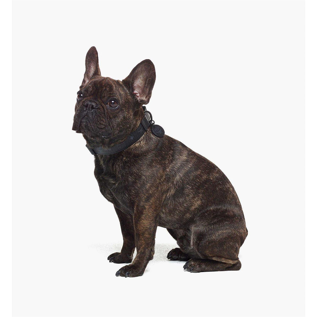 Pet Collar Q1013