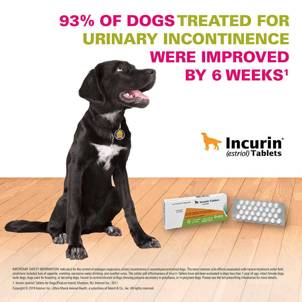 Tablets for Dogs Y82796