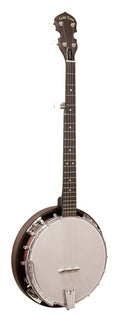 Banjo F175