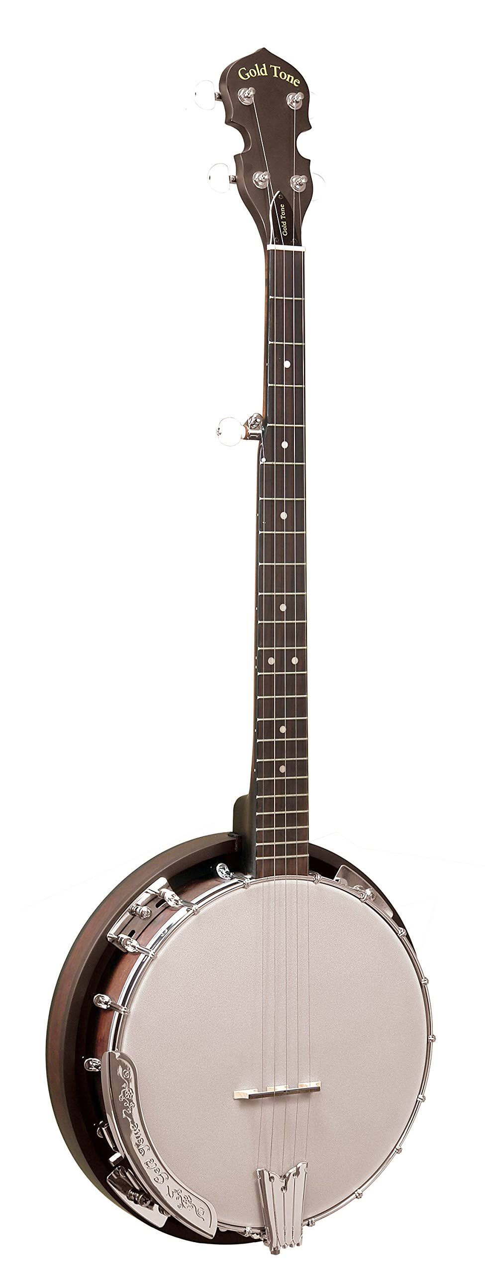 Banjo F175