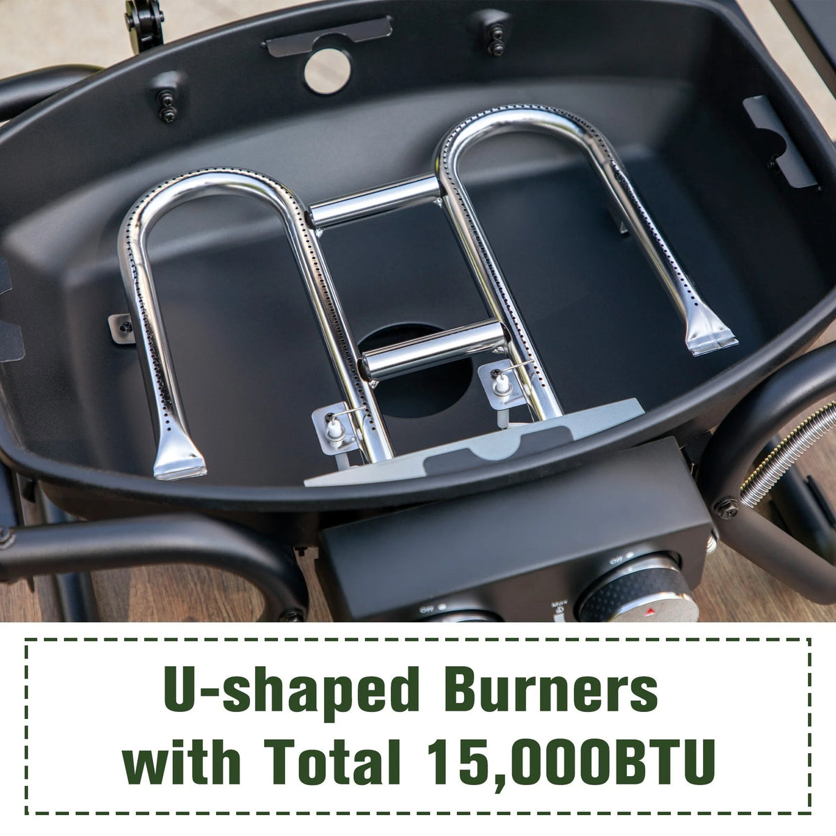 2 Burner Portable Propane Gas Grill R538