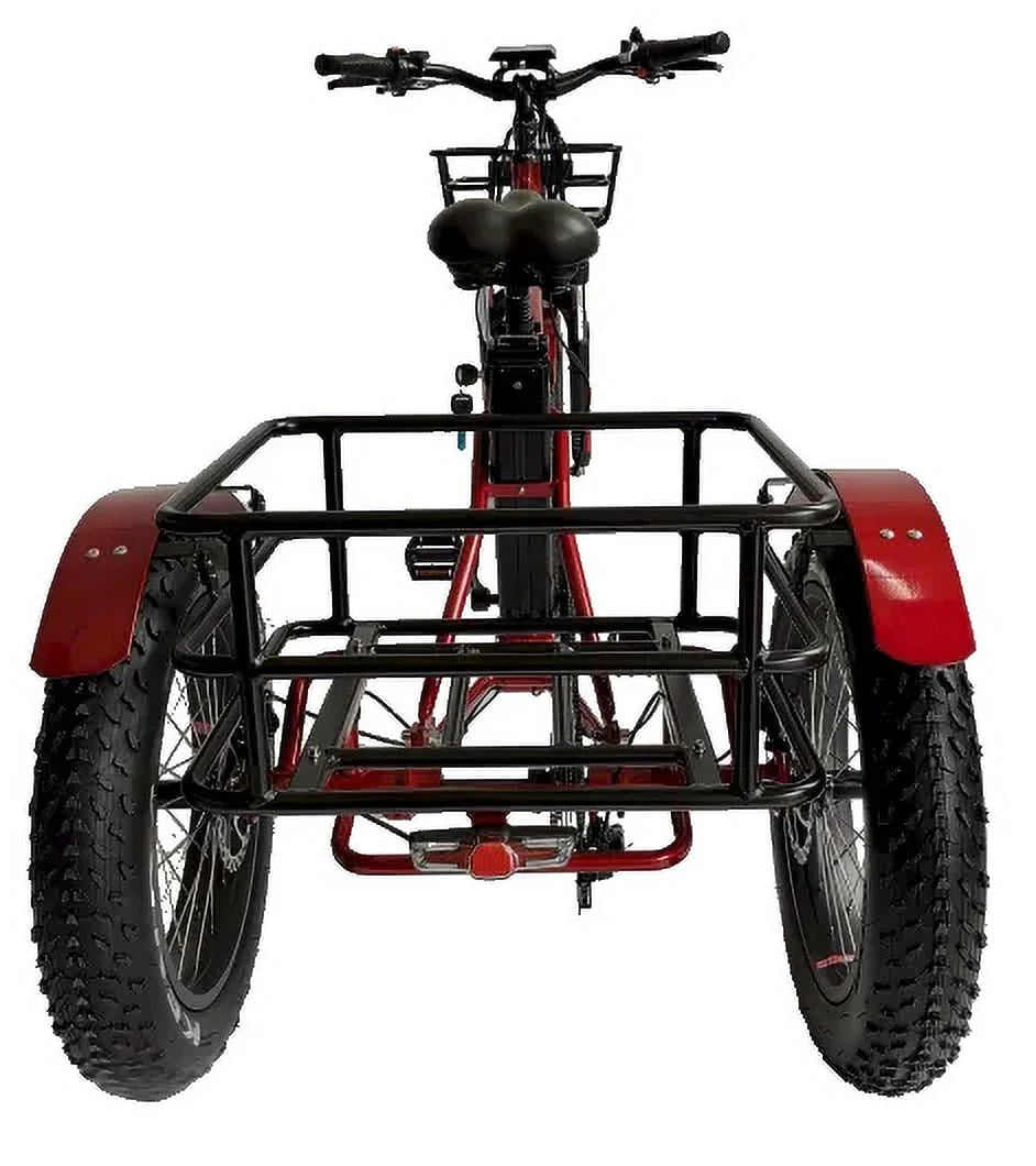 Fat Tire Three-Wheel Electric Trike P9825