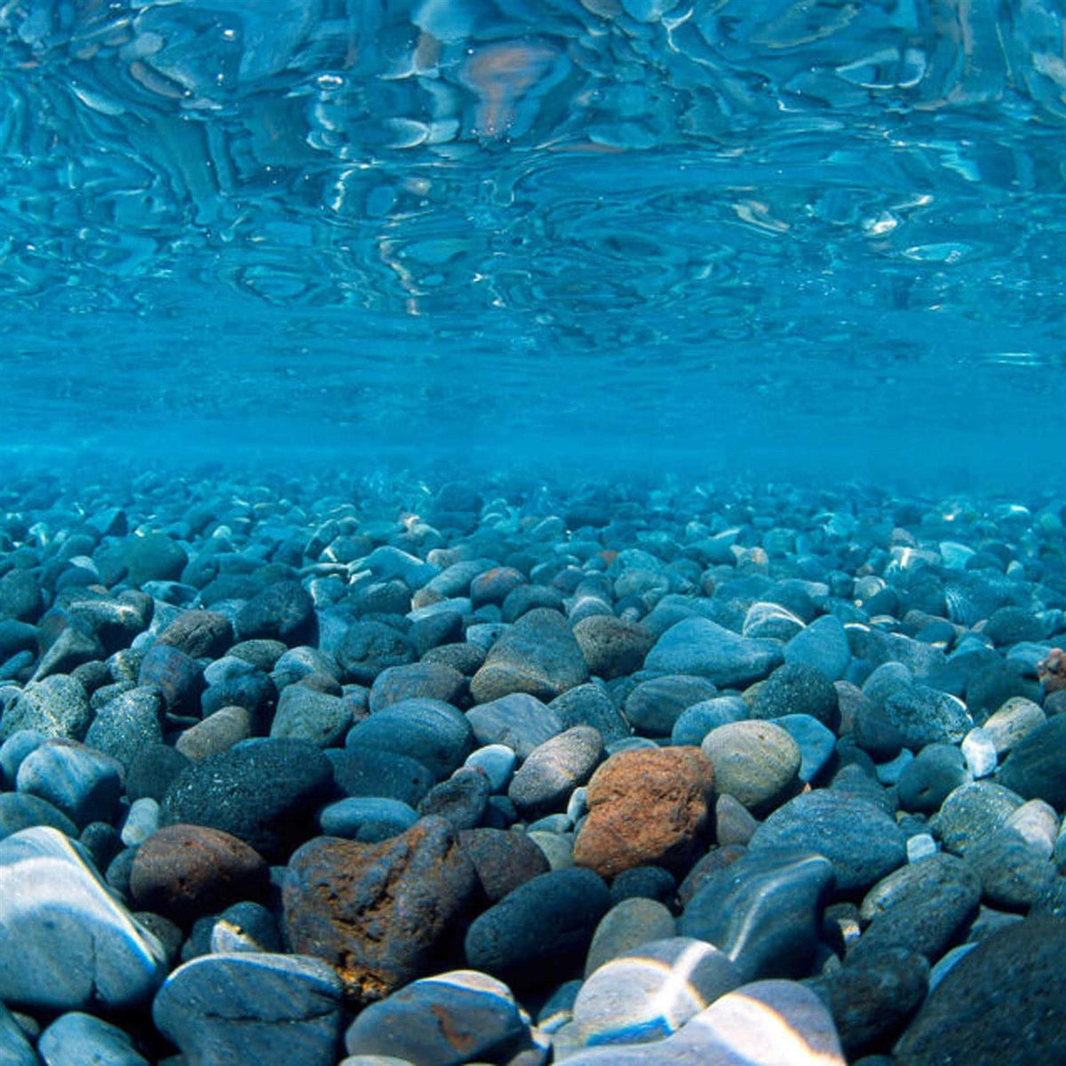 River Rock & Green Aquarium Background Decor W5622