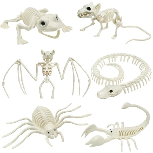 5.4ft/165cm Life Size Skeleton with Movable Joints Z391638