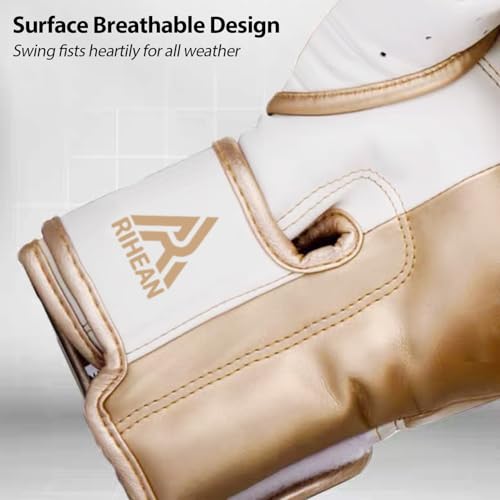 Boxing Training Gloves 10-16oz E240