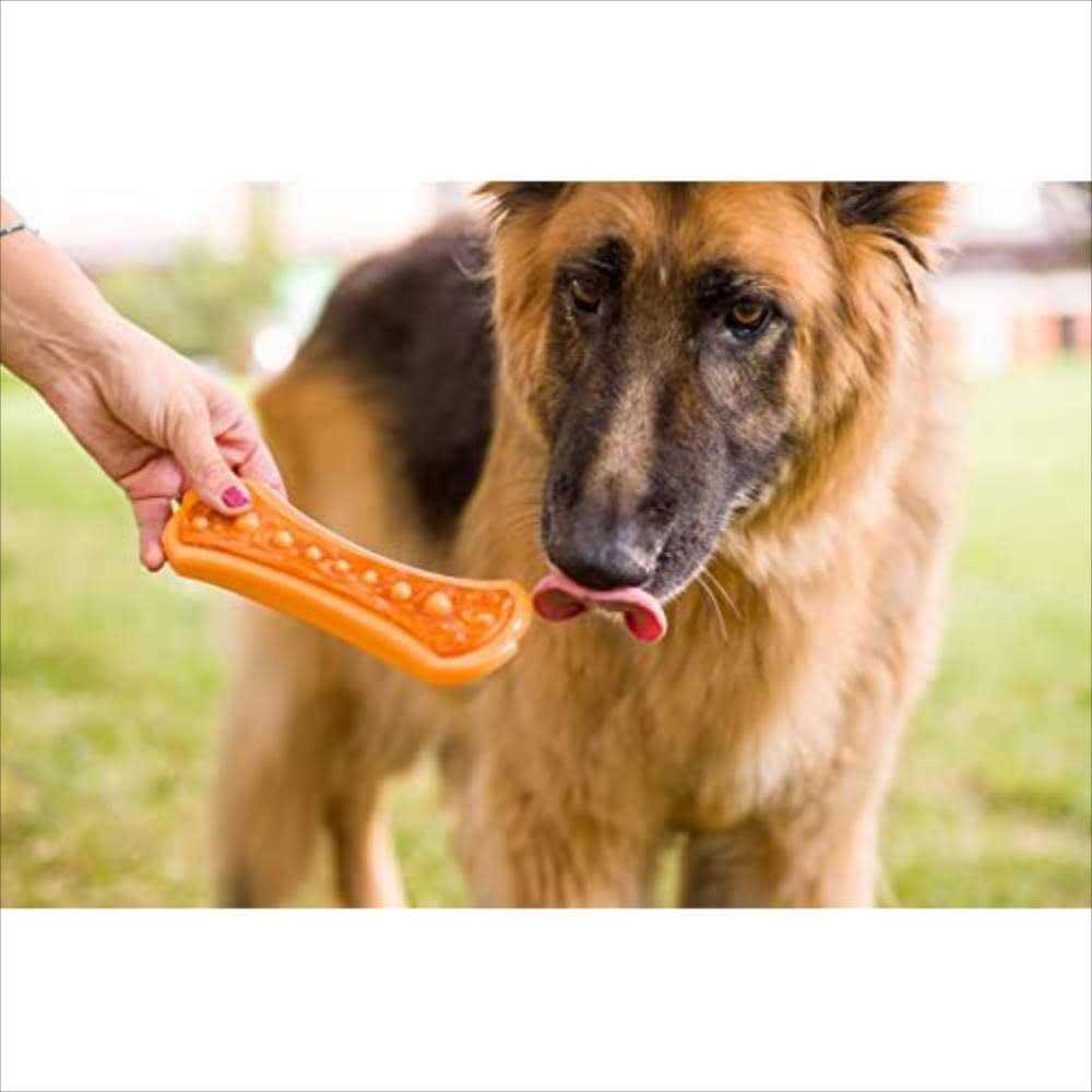 Chew 'n Clean Dental Duo Dog Toy V48309