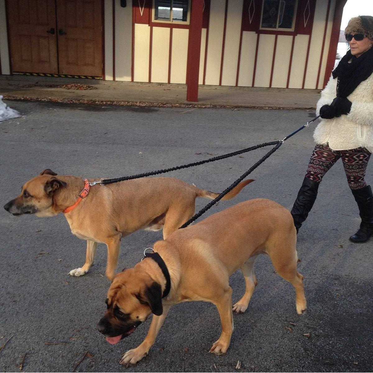 Two Dog Leash G59545