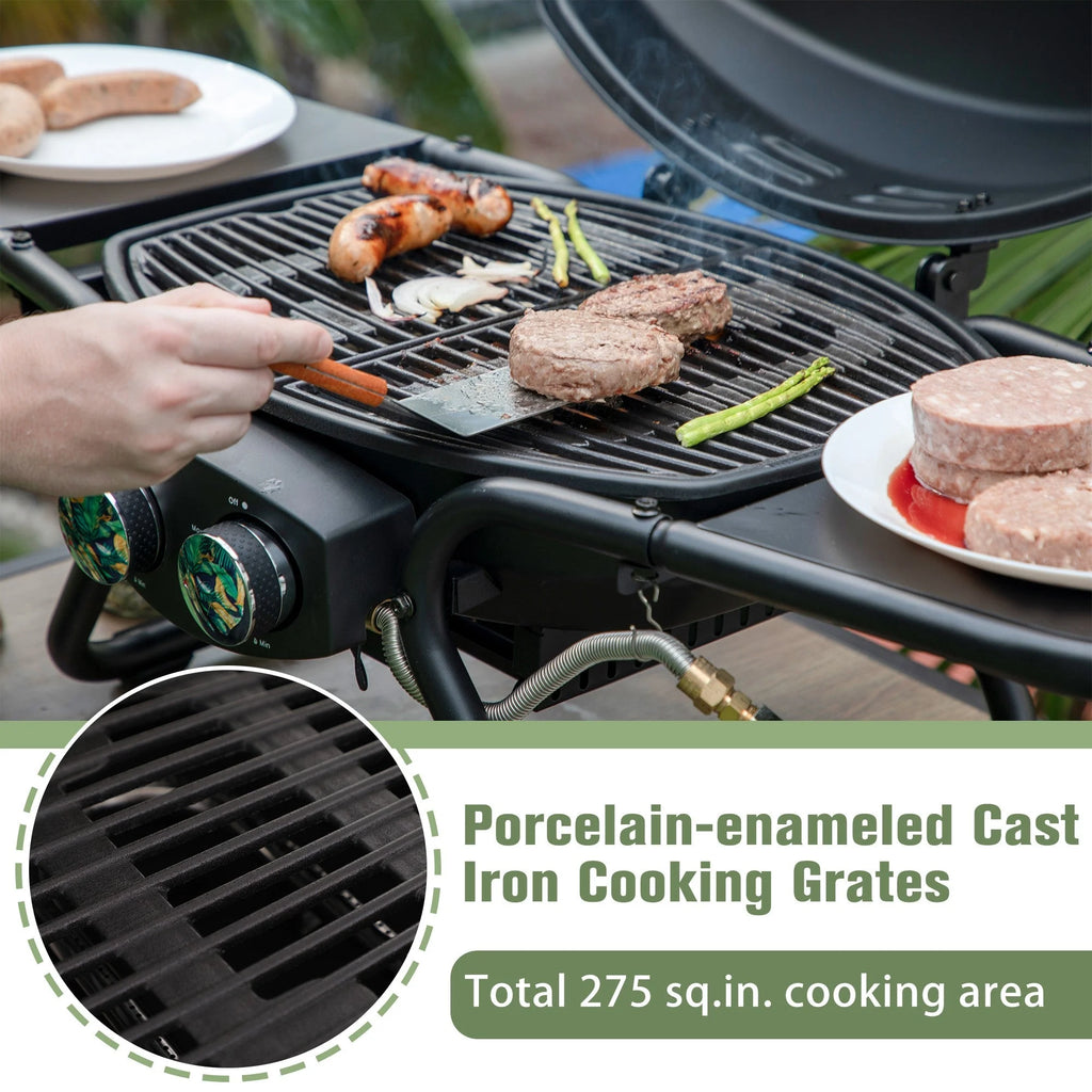 2 Burner Portable Propane Gas Grill R538