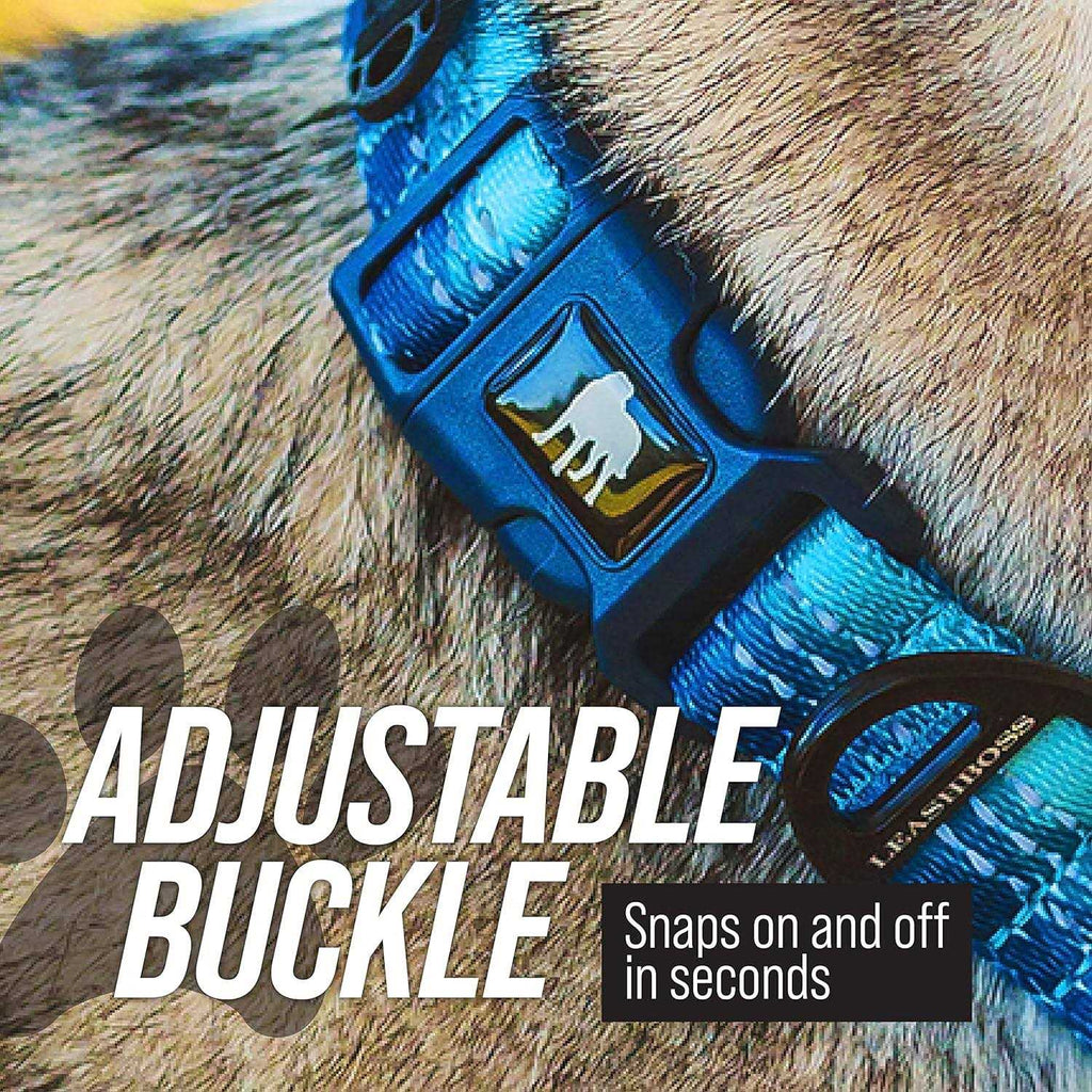 Patterned Fabric Martingale Dog Collar B8369