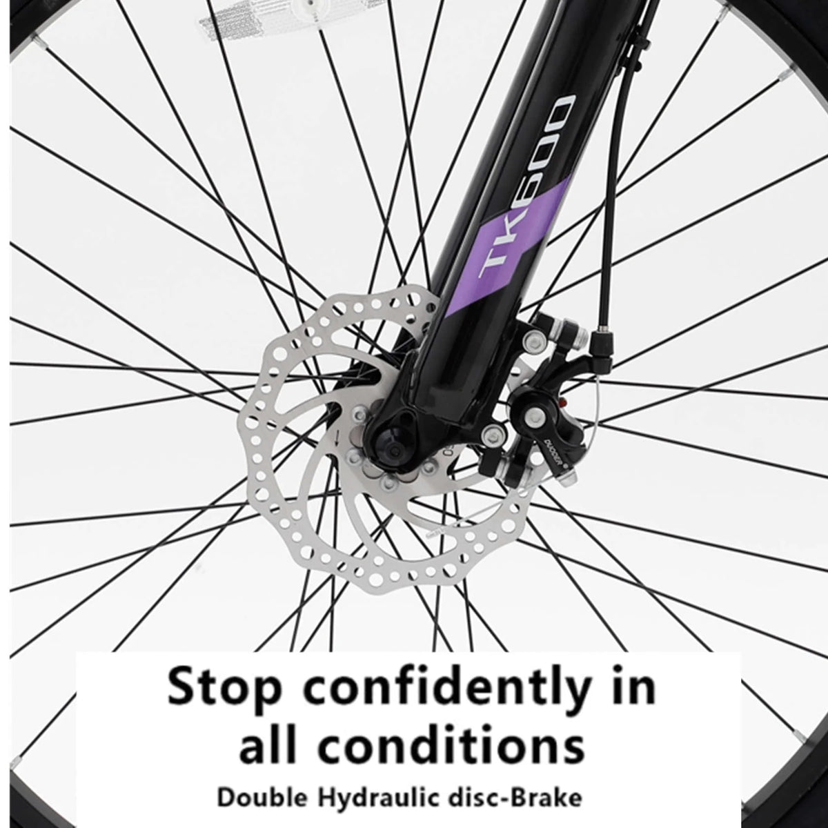 Purple 21-Speed 26 Inch Mountain Bike C358012